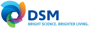 DSM DSM